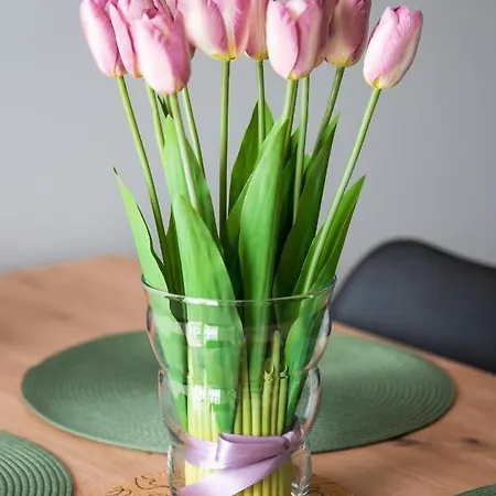 Wola Skwer Sunny By Bookinghost